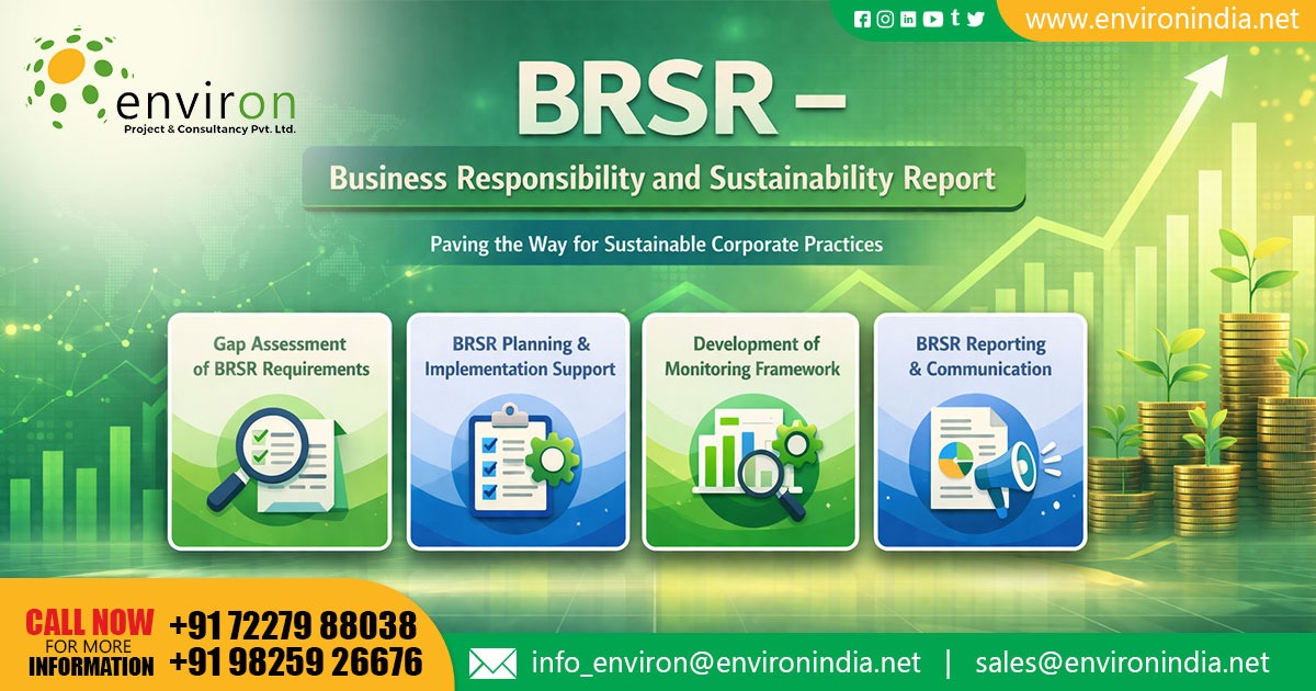 BRSR Reporting services