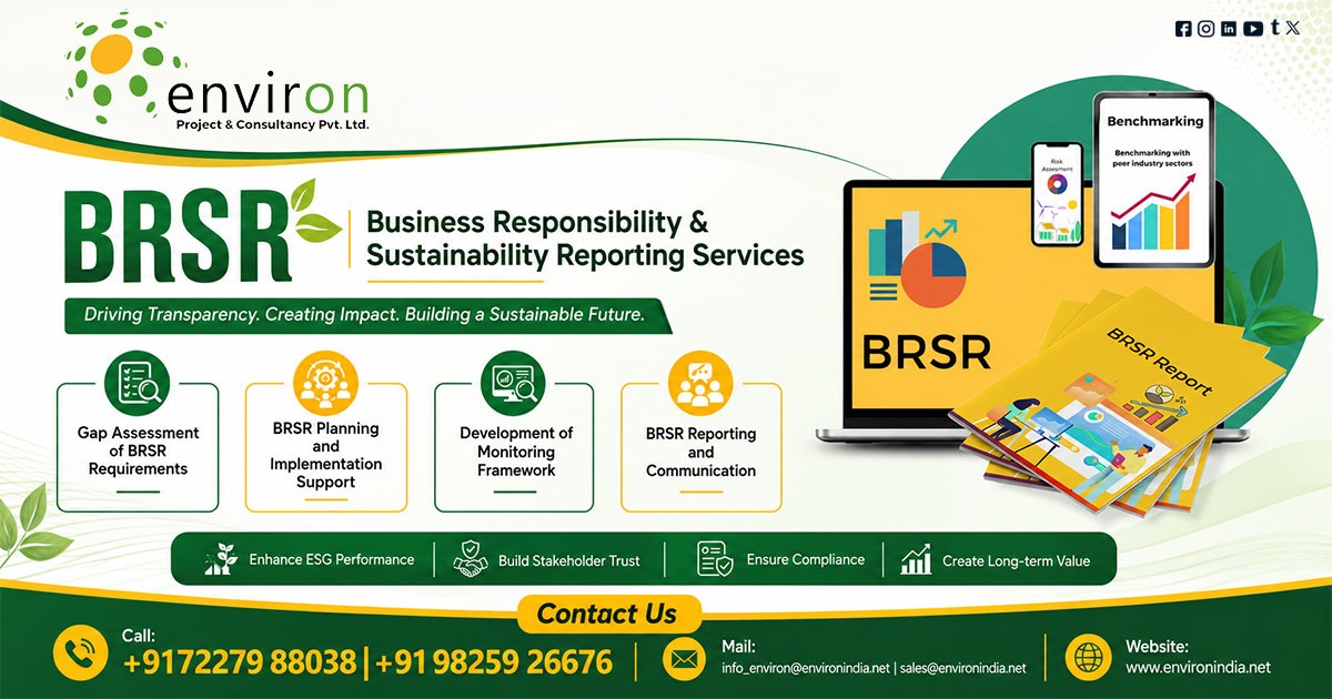 BRSR Reporting Consultant